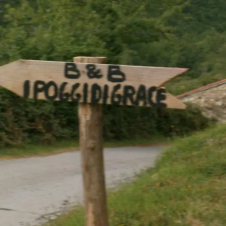 I Poggi di Grace-3