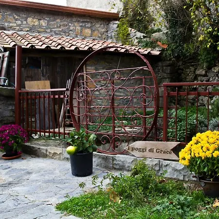 I Poggi di Grace-2